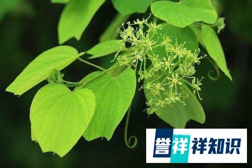 四书五经六艺和古代名作