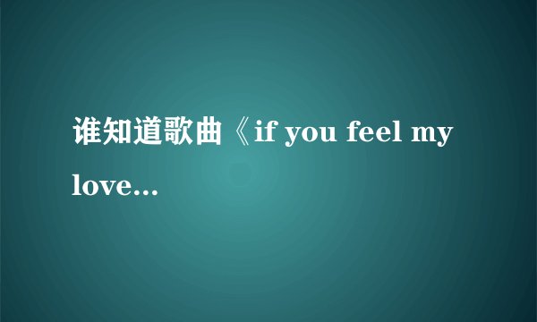 谁知道歌曲《if you feel my love》的中文意思