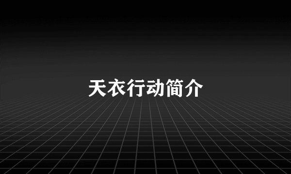 天衣行动简介