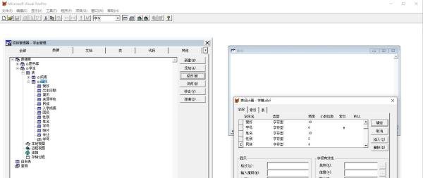 vf6.0给字段设置默认值