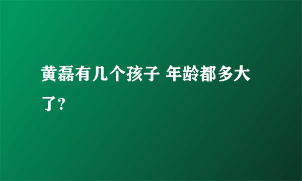 黄磊有几个孩子 年龄都多大了?