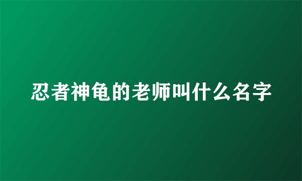 忍者神龟的老师叫什么名字
