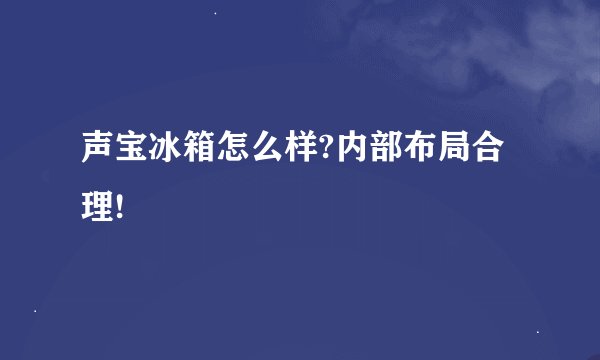 声宝冰箱怎么样?内部布局合理!