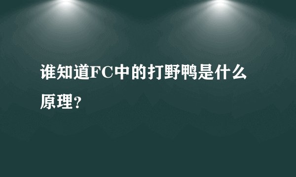 谁知道FC中的打野鸭是什么原理？