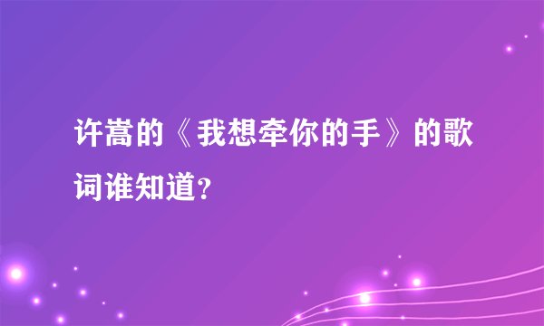 许嵩的《我想牵你的手》的歌词谁知道？