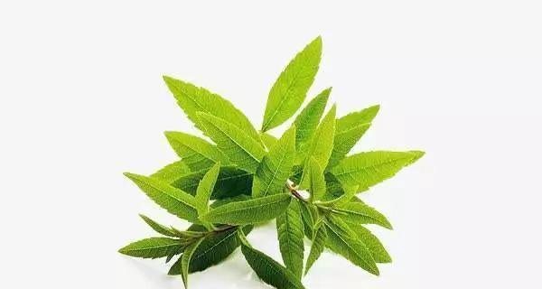 美剧《吸血鬼日记》里的不老伊恩，也是现实中的冻龄男神！