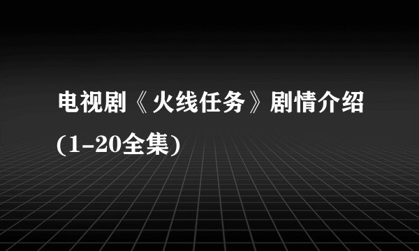 电视剧《火线任务》剧情介绍(1-20全集)