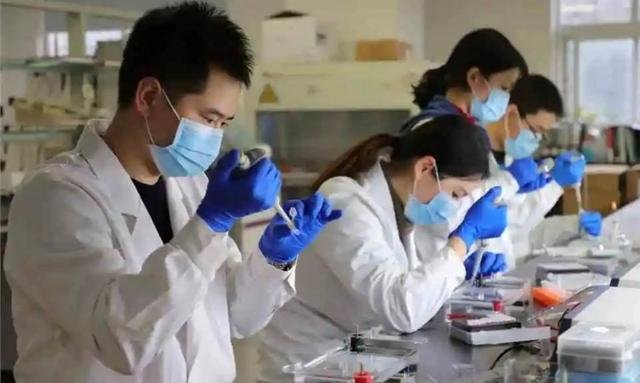 北外34岁副教授程多闻离世,生前在细节的口碑如何?