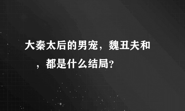 大秦太后的男宠，魏丑夫和嫪毐，都是什么结局？