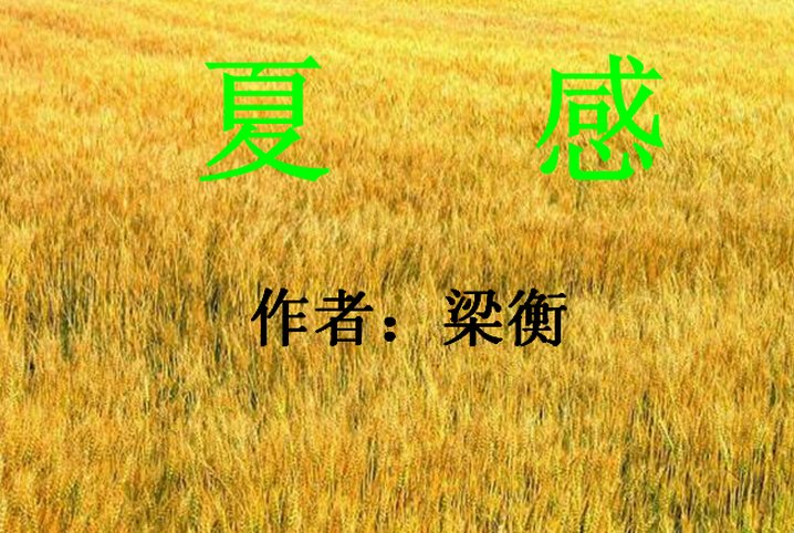 《夏感》的主旨是什么