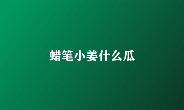 蜡笔小姜什么瓜