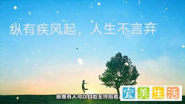 《起风了》:经典台词“纵有疾风起,人生不言弃”!
