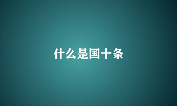 什么是国十条