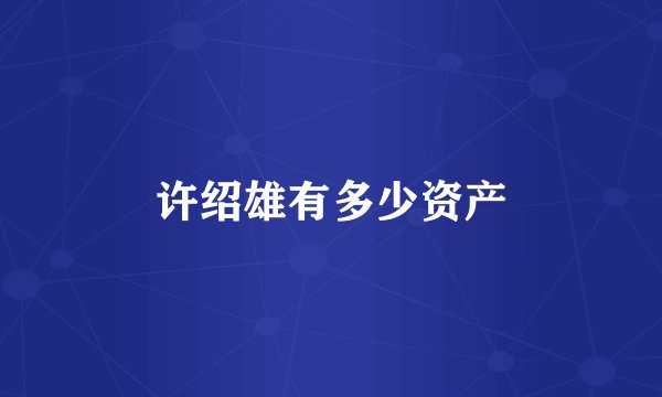 许绍雄有多少资产