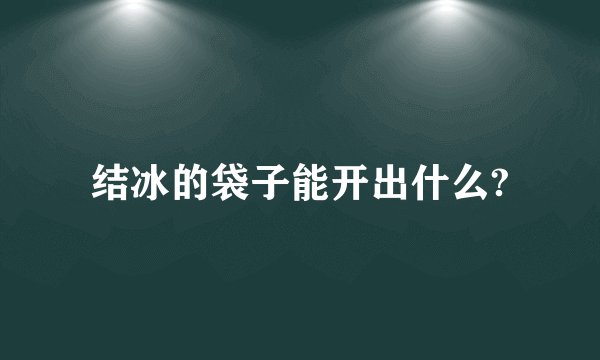 结冰的袋子能开出什么?