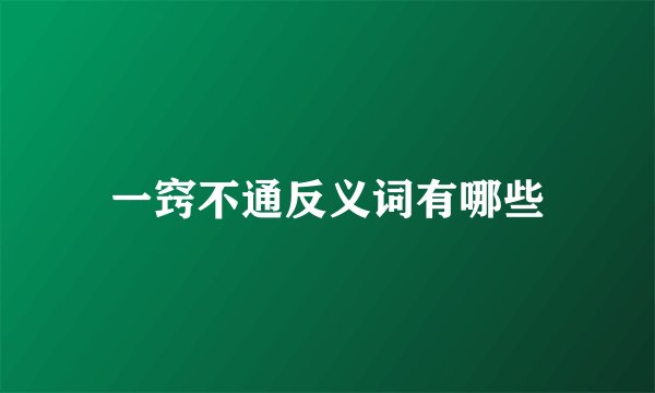 一窍不通反义词有哪些