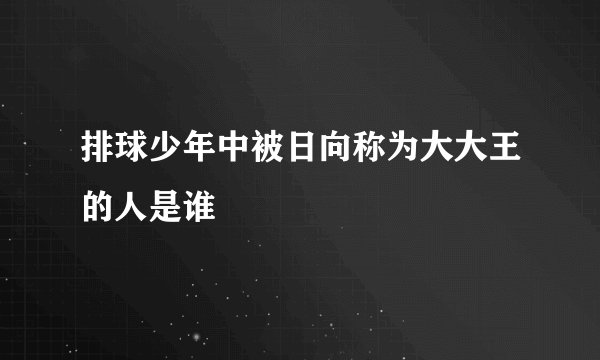 排球少年中被日向称为大大王的人是谁