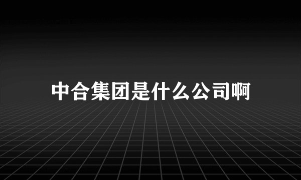 中合集团是什么公司啊
