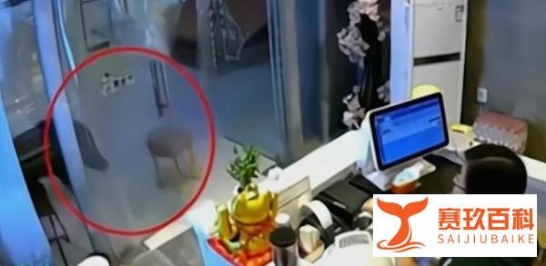 事件回顾:野猪闯进奶茶店,女店员翻桌子躲闪,网友:还好跑得快