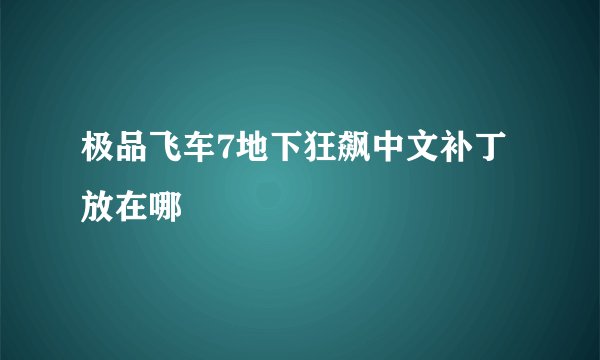 极品飞车7地下狂飙中文补丁放在哪