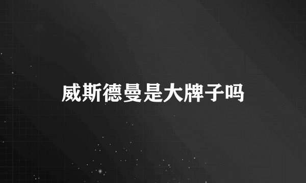 威斯德曼是大牌子吗