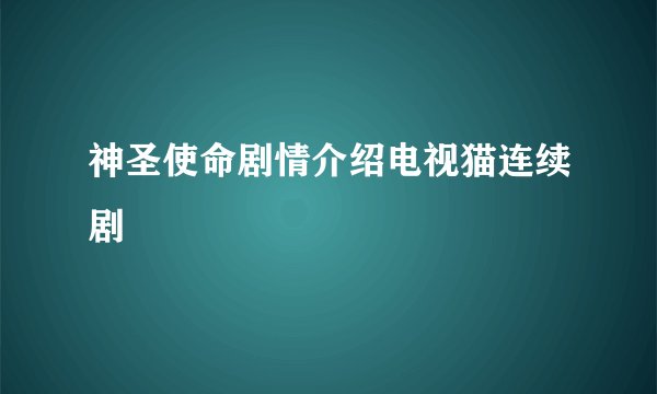 神圣使命剧情介绍电视猫连续剧