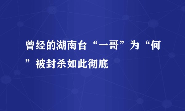 曾经的湖南台“一哥”为“何”被封杀如此彻底