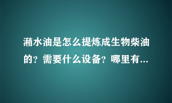潲水油是怎么提炼成生物柴油的？需要什么设备？哪里有购买的？