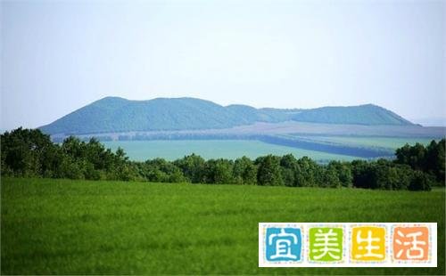 关于加快推进国有林场管护用房改造，完善国有林场森林资源管护体系的建议复文