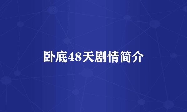 卧底48天剧情简介