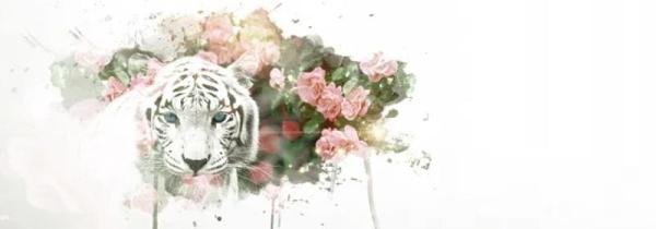 猛虎嗅蔷薇是啥意思