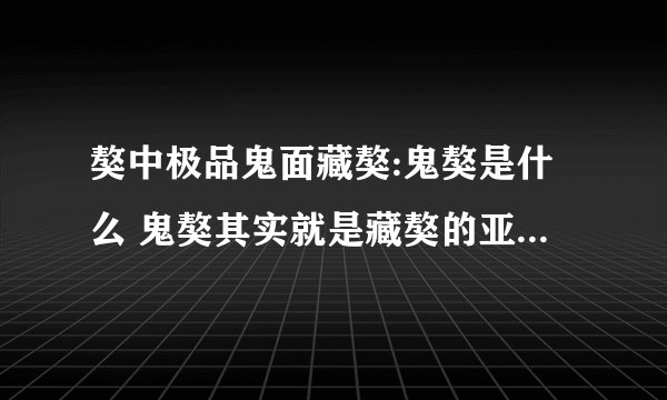 獒中极品鬼面藏獒:鬼獒是什么 鬼獒其实就是藏獒的亚种的产物