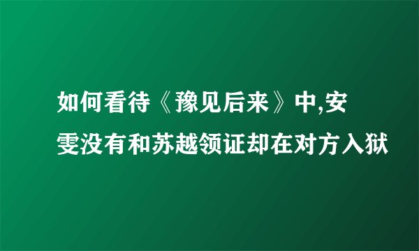 如何看待《豫见后来》中,安雯没有和苏越领证却在对方入狱