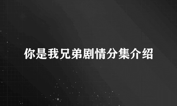 你是我兄弟剧情分集介绍