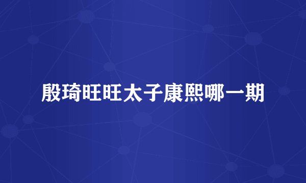 殷琦旺旺太子康熙哪一期