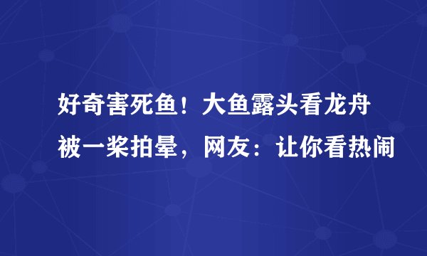 好奇害死鱼！大鱼露头看龙舟被一桨拍晕，网友：让你看热闹