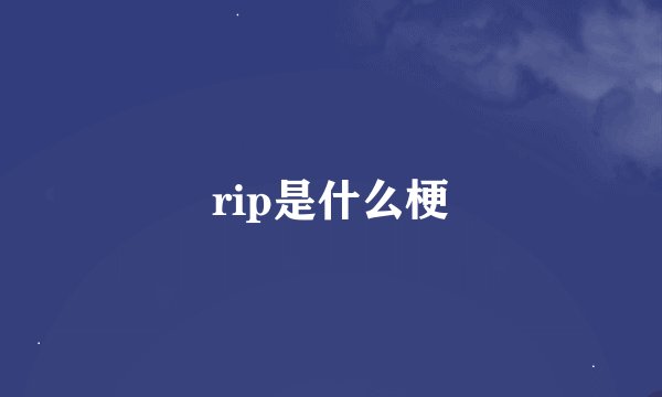 rip是什么梗