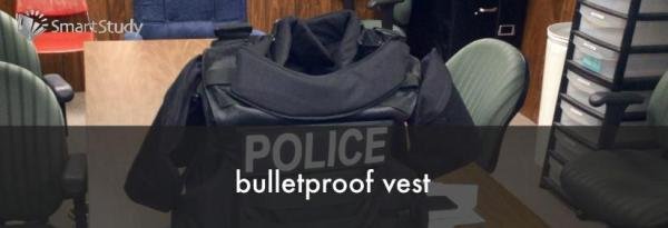 vest是什么意思
