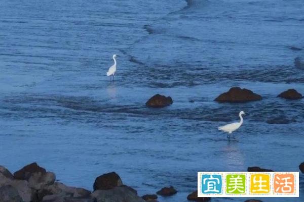 一些让人觉得既浪漫又遗憾的文案