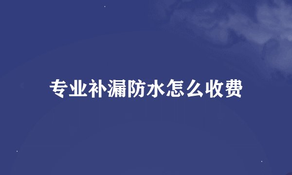 专业补漏防水怎么收费