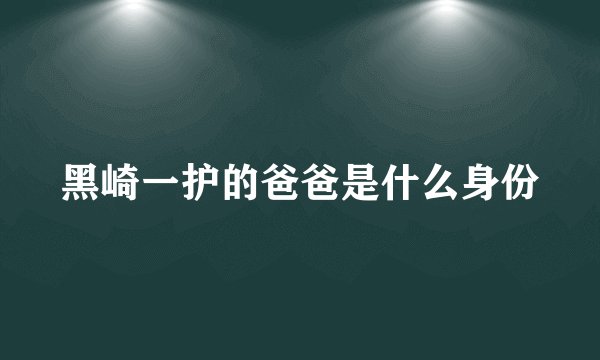 黑崎一护的爸爸是什么身份