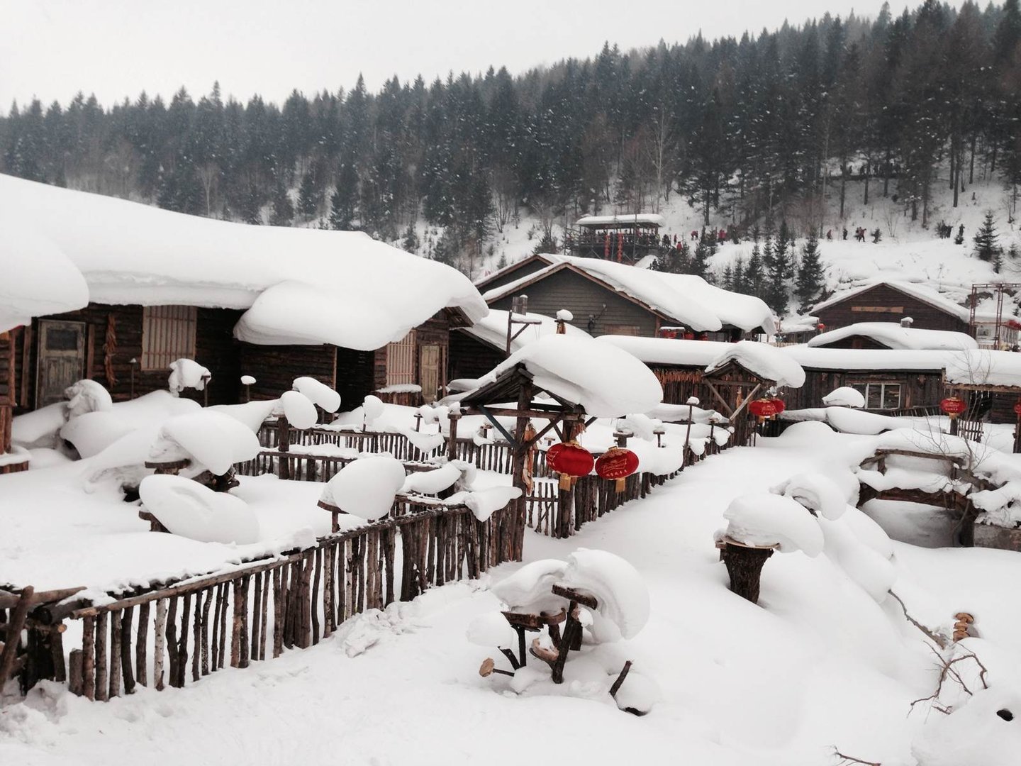 看雪论坛的看雪的建立
