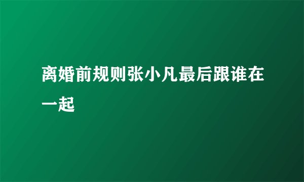 离婚前规则张小凡最后跟谁在一起