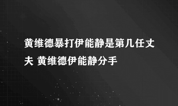 黄维德暴打伊能静是第几任丈夫 黄维德伊能静分手