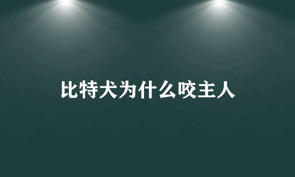 比特犬为什么咬主人
