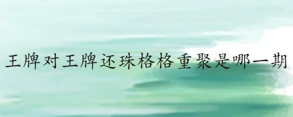 王牌对王牌还珠格格重聚是哪一期