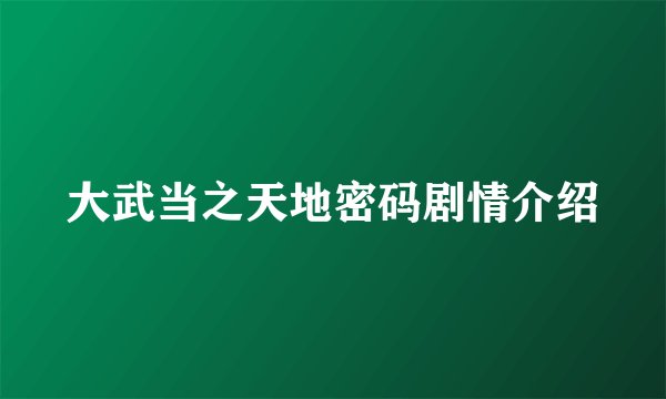 大武当之天地密码剧情介绍