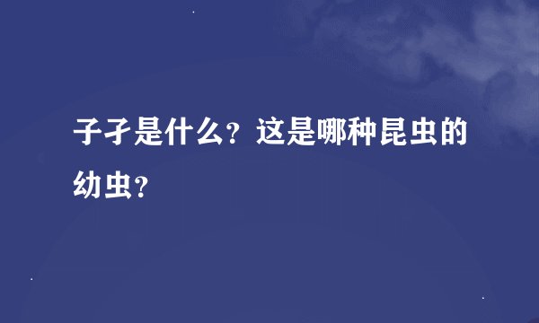 子孑是什么？这是哪种昆虫的幼虫？