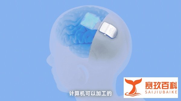 果壳CEO进军VC,红杉虎扑做LP