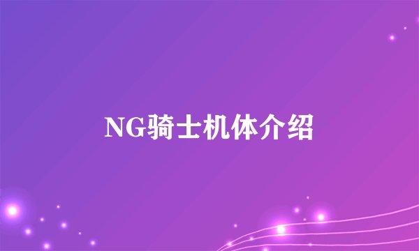 NG骑士机体介绍